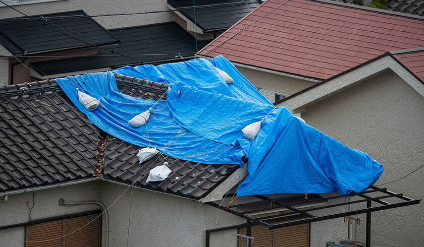 台風による雨漏り・雨どいのトラブル、シロアリ問題…火災保険の適用サポートまですべて対応します！